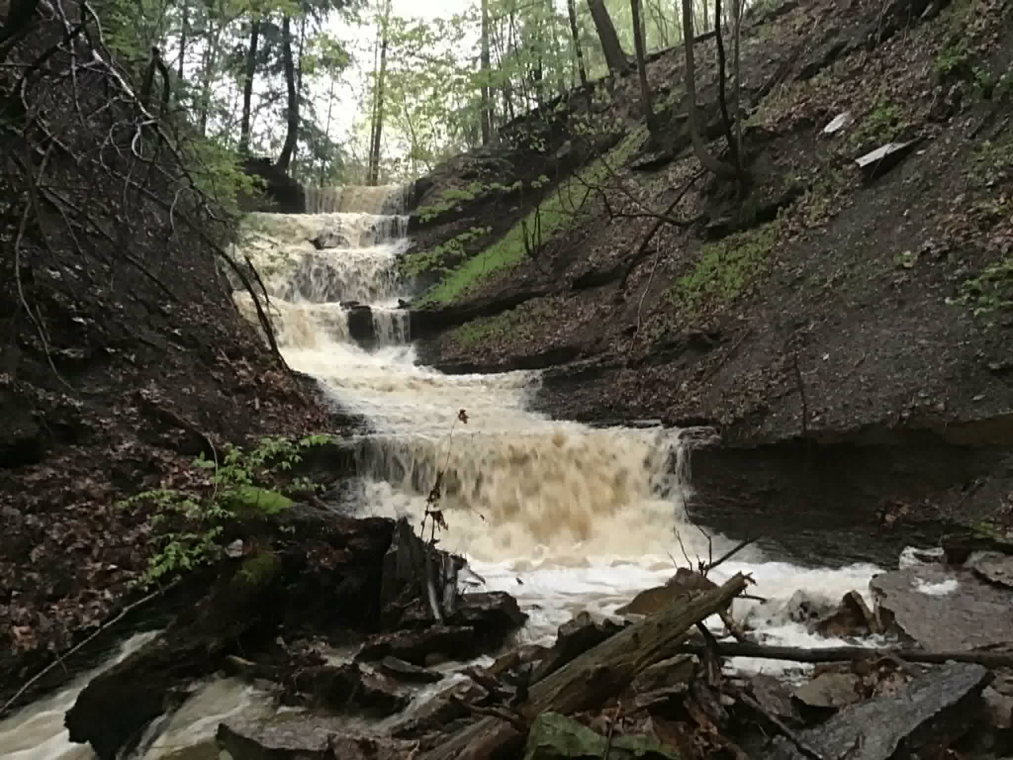 Cascade Valley waterfall in the woods